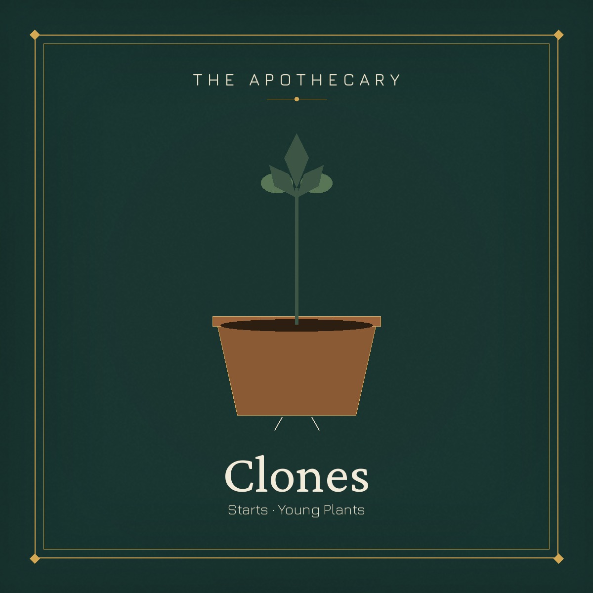 Cannabis Clones